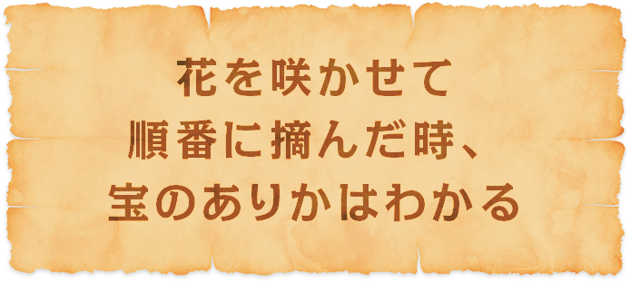 紙